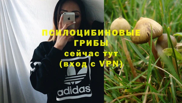 соль курить ск Абаза