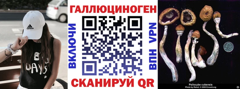 где найти наркотики  Топки  МЕГА рабочий сайт  Галлюциногенные грибы мухоморы 