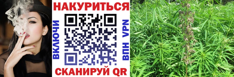 Бошки Шишки тримм  как найти   hydra   Топки 